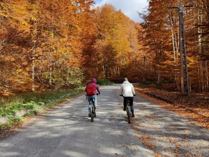Two cyclists on a forest road through golden autumn beech trees near Sovata